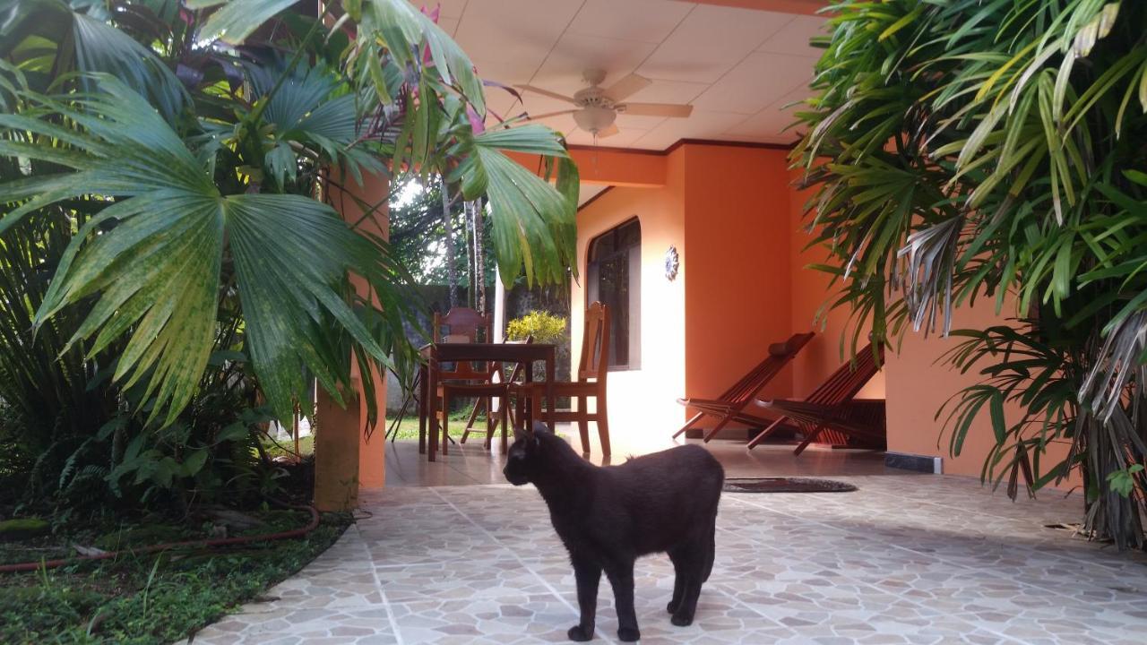Puerto Jiménez Embassy House B&B 외부 사진