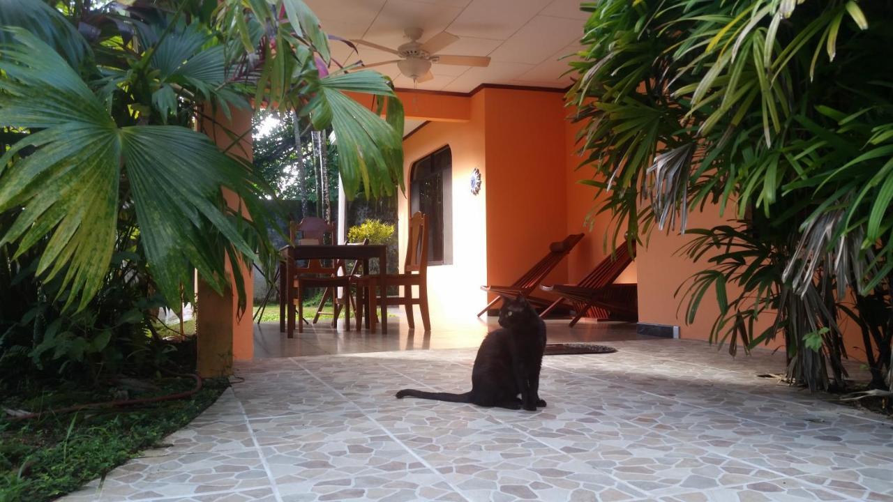 Puerto Jiménez Embassy House B&B 외부 사진